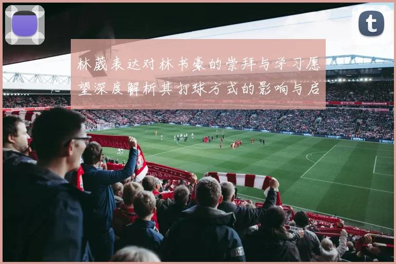 林葳表达对林书豪的崇拜与学习愿望深度解析其打球方式的影响与启发