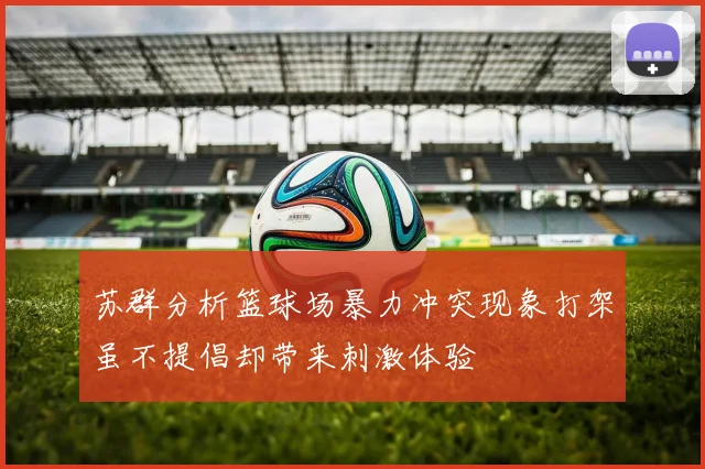 苏群分析篮球场暴力冲突现象打架虽不提倡却带来刺激体验
