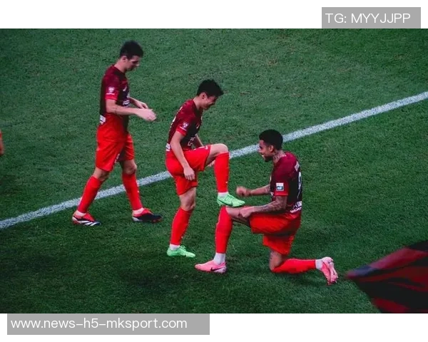 河南队引进前海港外援古斯塔沃31岁锋线新援加盟助力球队冲击新赛季